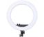  Зображення Кільцева LED-лампа Voltronic (YQ460B/05707) 