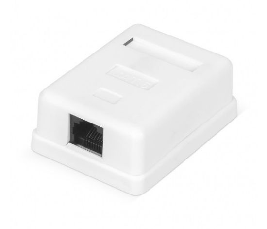  Зображення Розетка Ritar RJ45 (StR-8P8CRJ45/C6-1/01305) 
