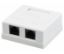  Зображення Розетка Ritar RJ45х2 (StR-8P8CRJ45-2/00200) 