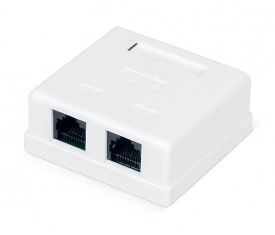  Зображення Розетка Ritar RJ45х2 (StR-8P8CRJ45/C6-2/01527) 