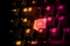  Зображення Клавiатура SteelSeries Apex TKL USB (64831) 