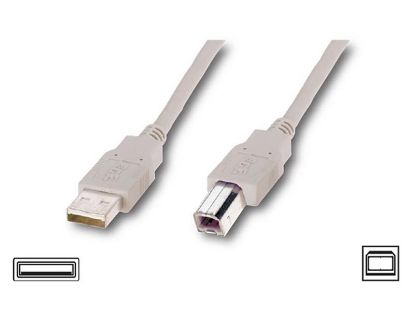  Зображення Кабель USB 2.0 (AM/BM) 1.8m Atcom (3795) к принтеру, сканеру, White 